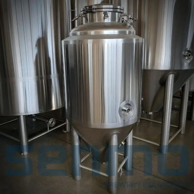 100L pilot beer equipment for microbrewery