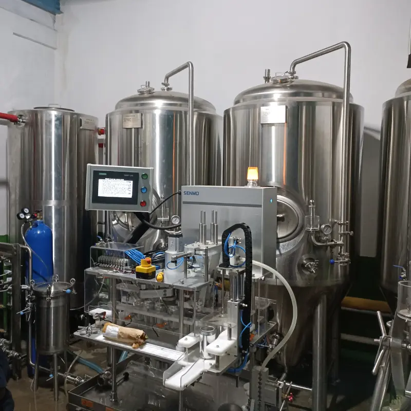 500L Craft Brewing Equipment: Empowering Brewers to Craft Excellence